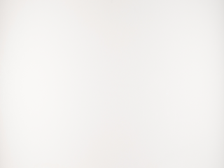 Pure White / Arctic White